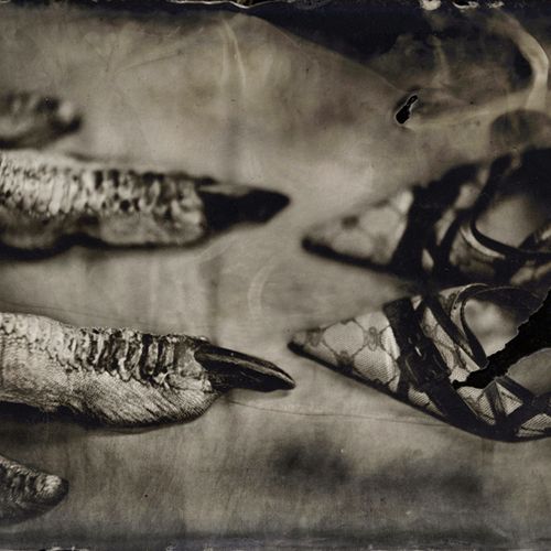 Cut me a Smile # 1 Feet