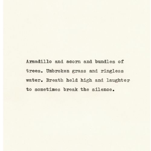 Cut me a Smile # 30 Armadillo