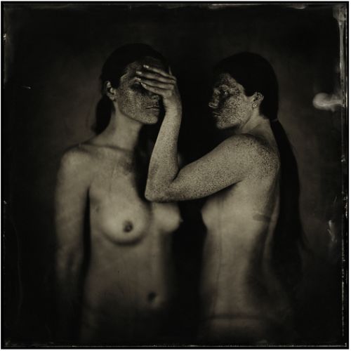 Cut me a Smile #33 Fox