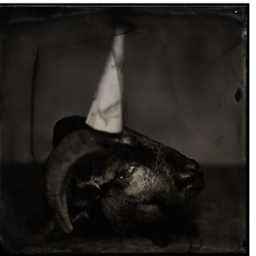 Cut me a Smile # 43 Santa's