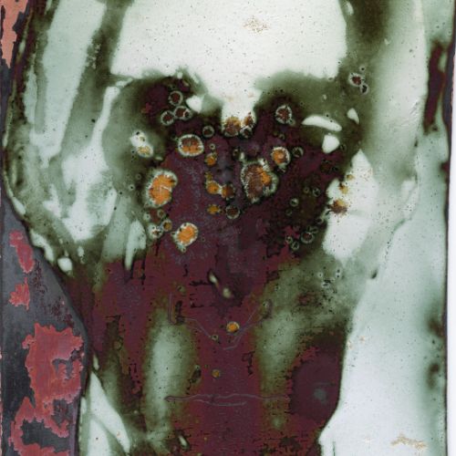 Eric enamel 8,5 x 12,5 cm 2023